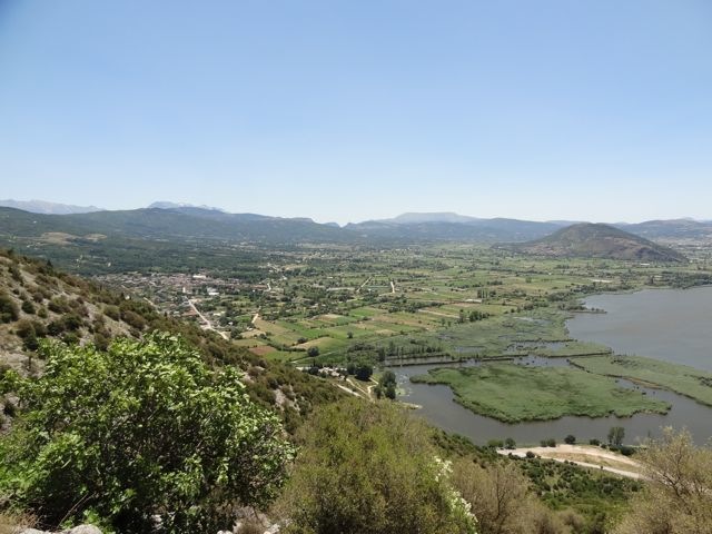 DSC06347