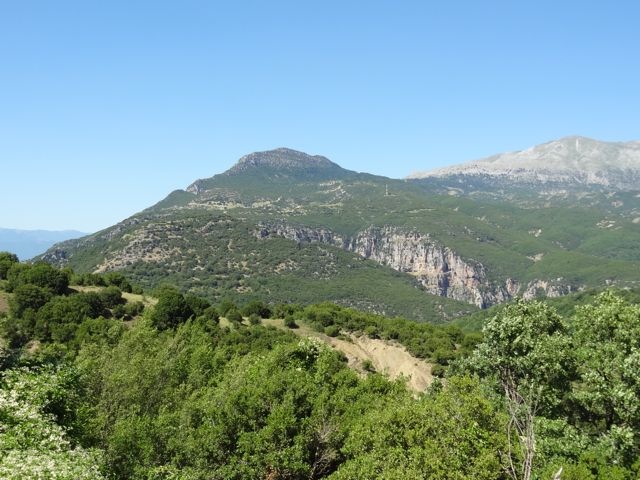 DSC06353