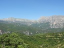 DSC06354