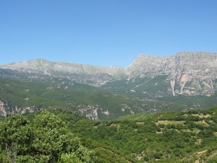 DSC06354