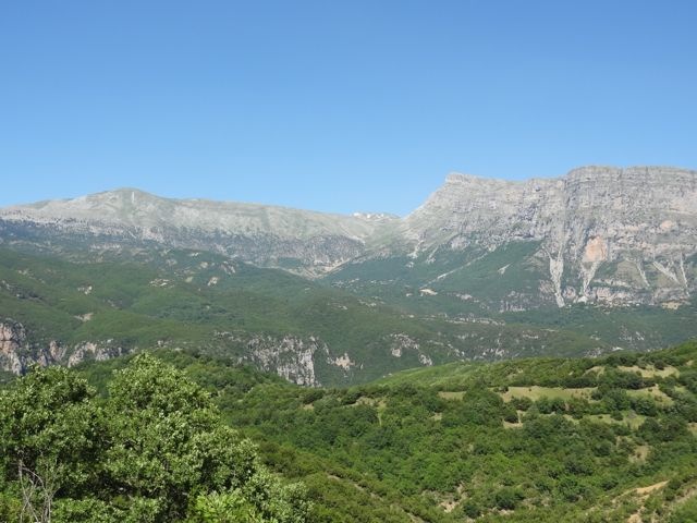 DSC06354