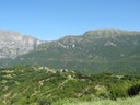 DSC06355