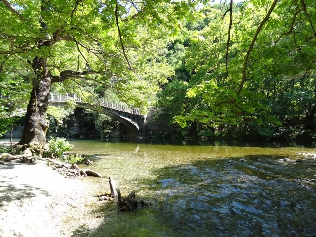 DSC06361