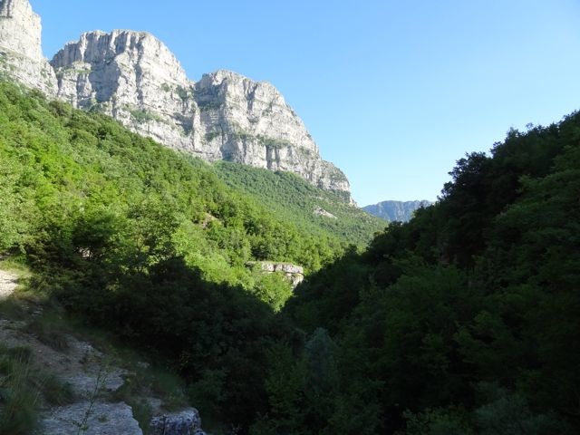 DSC06373