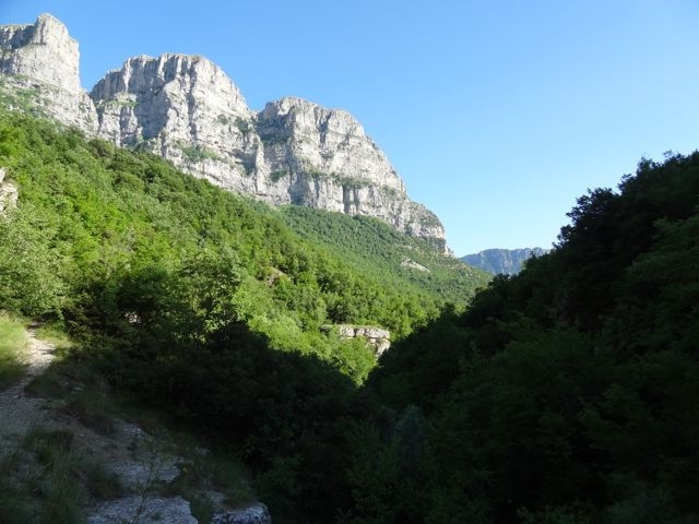 DSC06377