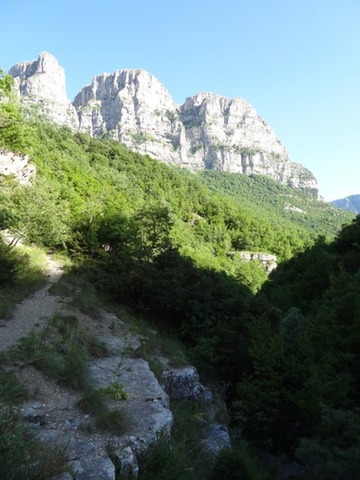 DSC06378