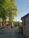 DSC06393