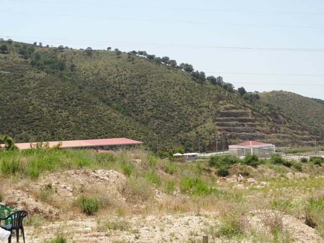 DSC06446