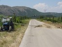 DSC06459