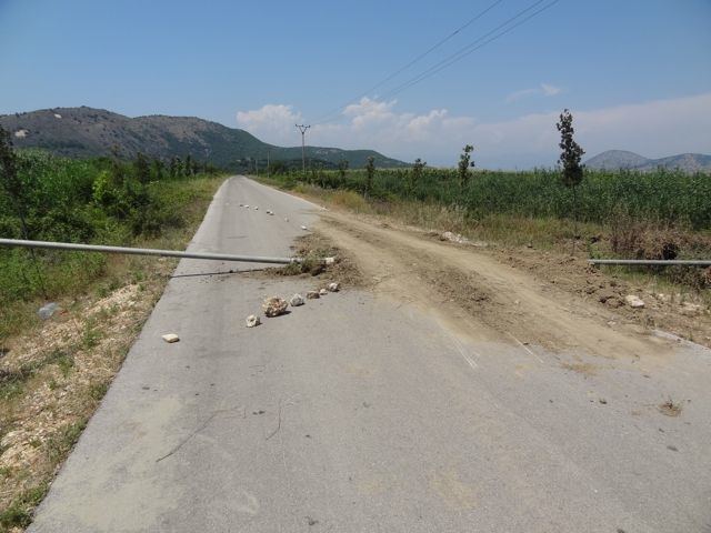 DSC06461