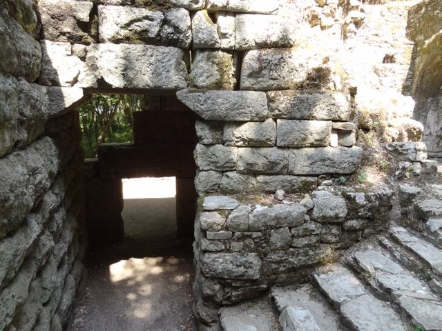 DSC06468