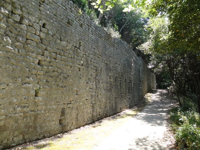 DSC06470