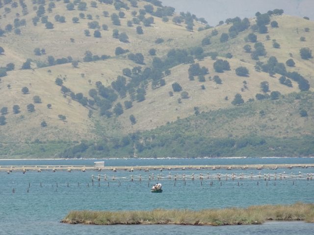 DSC06476