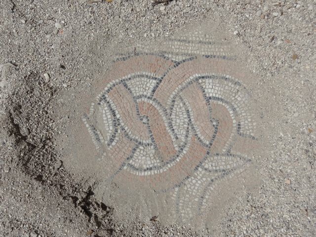 DSC06483