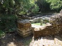 DSC06485