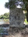 DSC06487