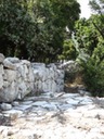 DSC06488