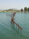 DSC06491