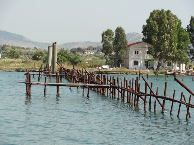 DSC06492