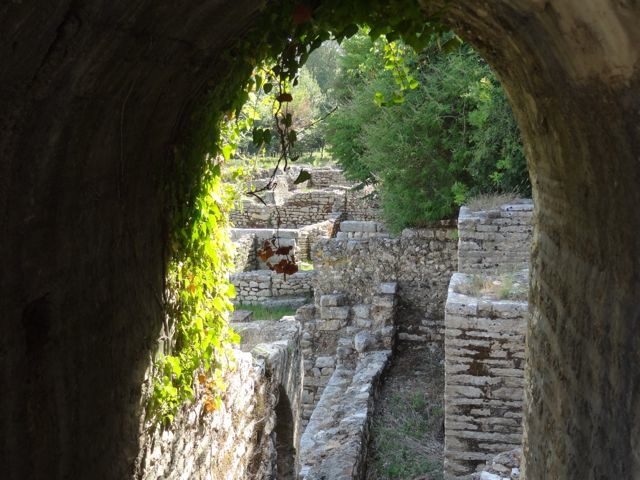 DSC06516