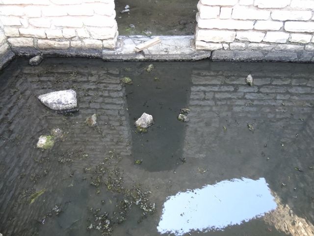 DSC06521
