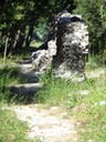 DSC06535