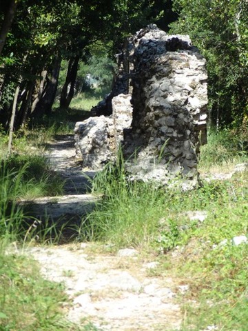 DSC06535