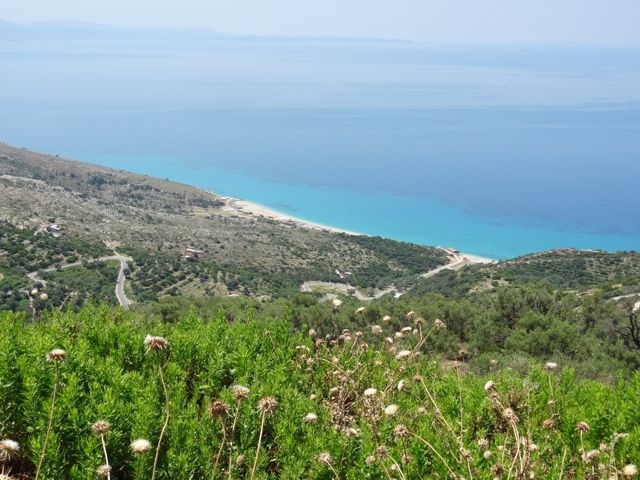 DSC06596
