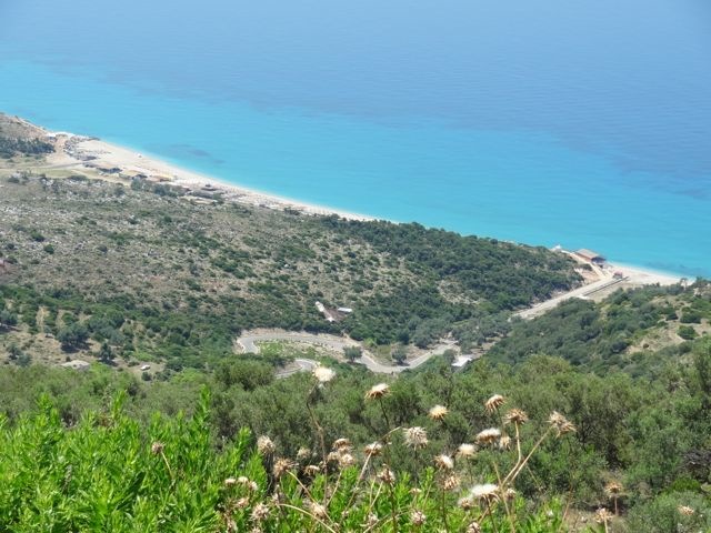 DSC06597