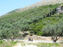 DSC06600