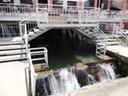 DSC06603