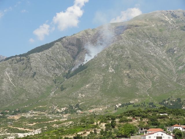 DSC06613