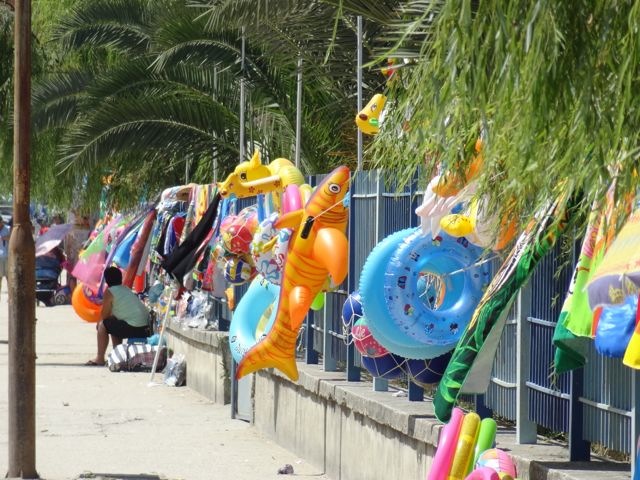 DSC06630