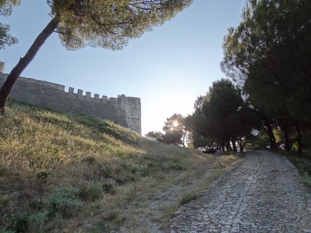 DSC06656