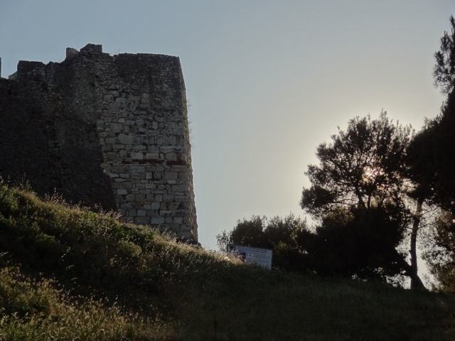 DSC06657