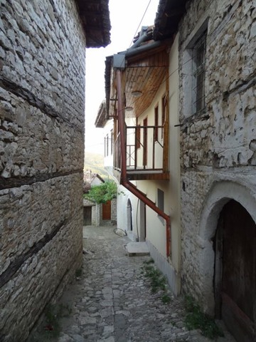 DSC06713