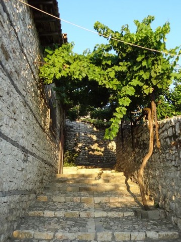DSC06718