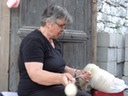 DSC06731