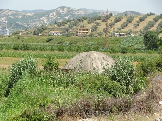DSC06749