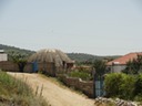 DSC06756