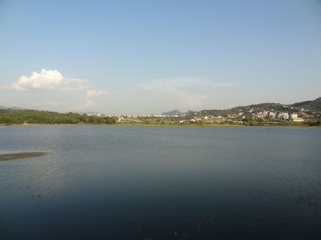 DSC06821
