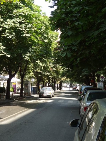 DSC06830