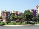 DSC06831
