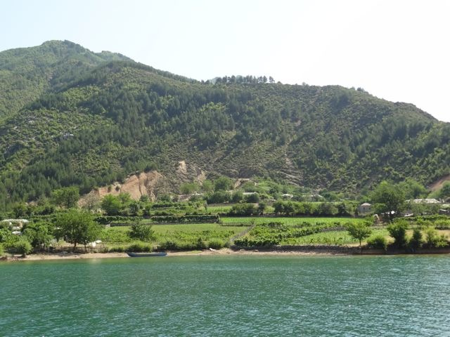 DSC06930