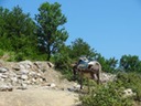 DSC06945