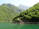 DSC06950