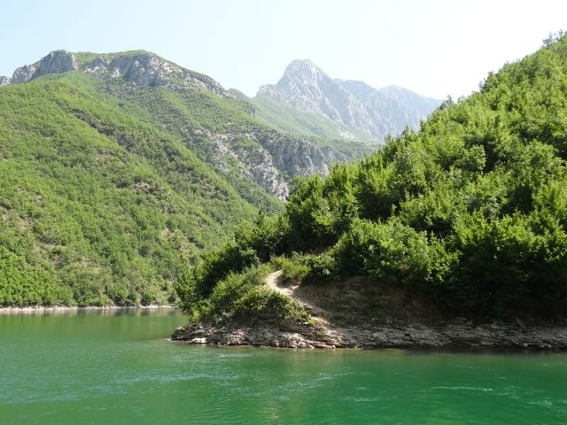DSC06950