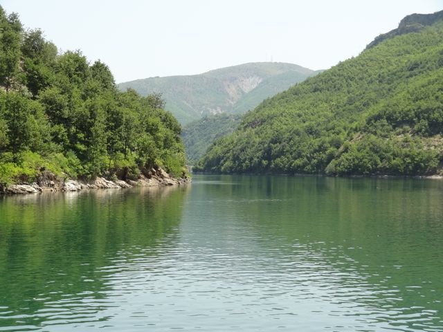 DSC06982