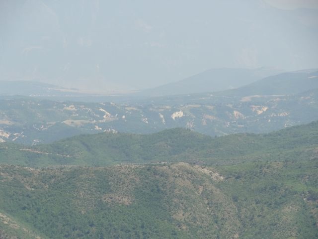 DSC06995
