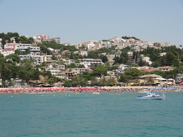 DSC07006